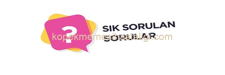 SIK SORULAN SORULAR