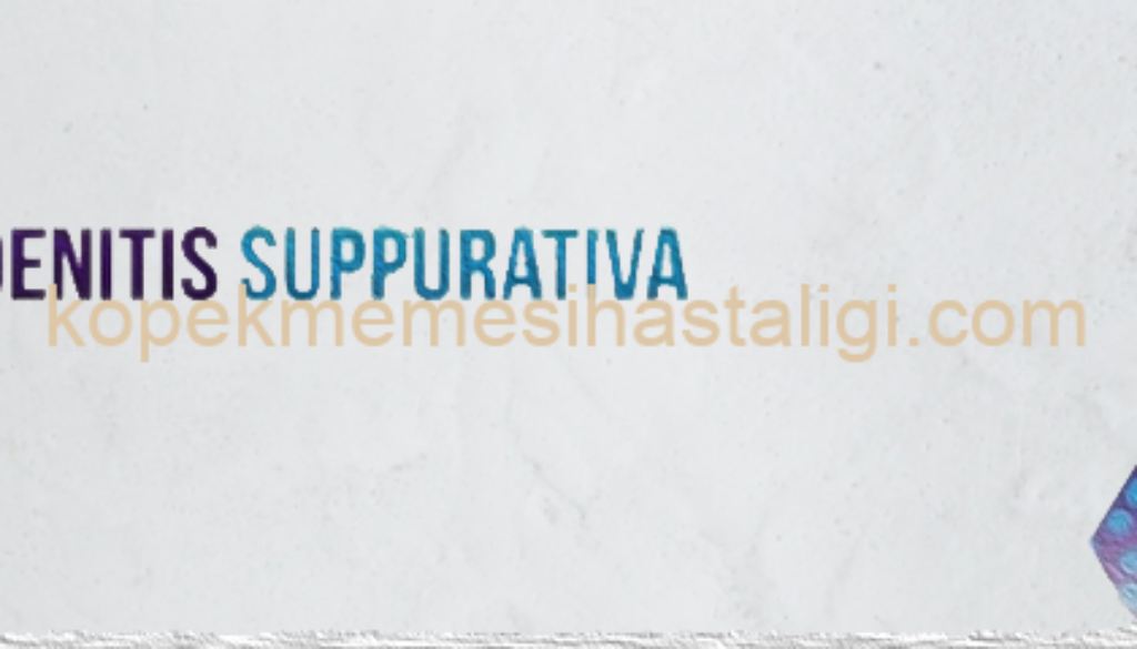 HS_IMAGE